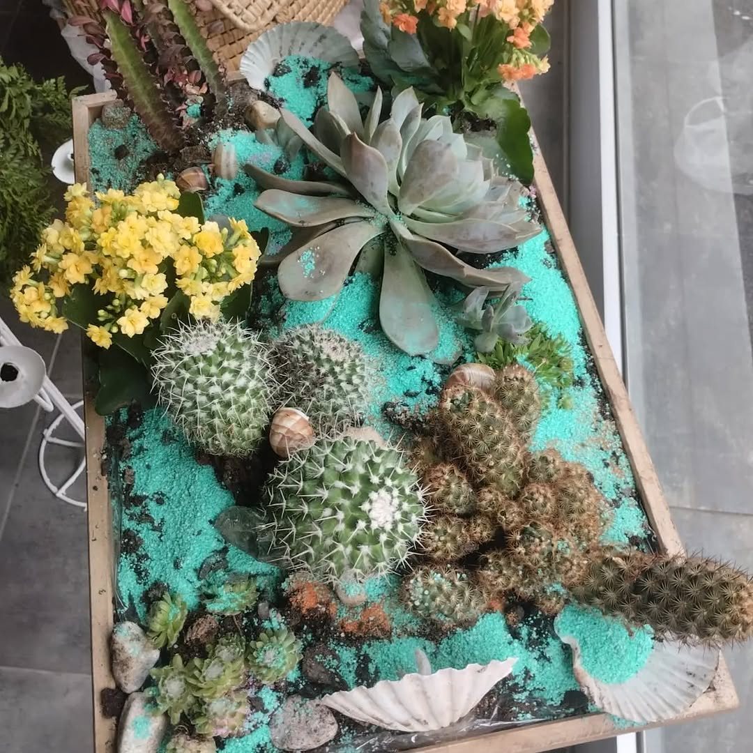Giardino di cactus e succulente su sabbia turchese con conchiglie